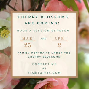 TopTia Cherry Blossom Ad