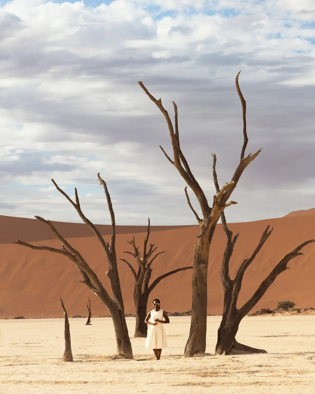 Namibia awakened the little girl in me. I was in awe of how beautiful the country was, and being around some amazing photographer friends reopened a part of myself that feels deeply connected to wonder, creativity, and the kind of beauty the little girl in me simply loved to see. It feels especially meaningful because this year marks 10 years of TOPTIA Photography.There was a time when I did not know what my life in Japan would become. After four years here, I was standing between leaving and staying, between photography school, law school, and so many futures that did not fully feel like mine. I just knew something in me was searching. Photography became the thing that kept pulling me back to myself.Now, ten years later, TOPTIA Photography has become an established studio built with care, trust, and vision. My journey as a photographer in Tokyo has played a big part in the person I’ve become and the studio I’ve built.If you’ve ever been curious about my studio, you’re always welcome to send me a message.Photographer @shutterleafcreations#toptiastory #photographer #tokyo #photographerintokyo #portraits