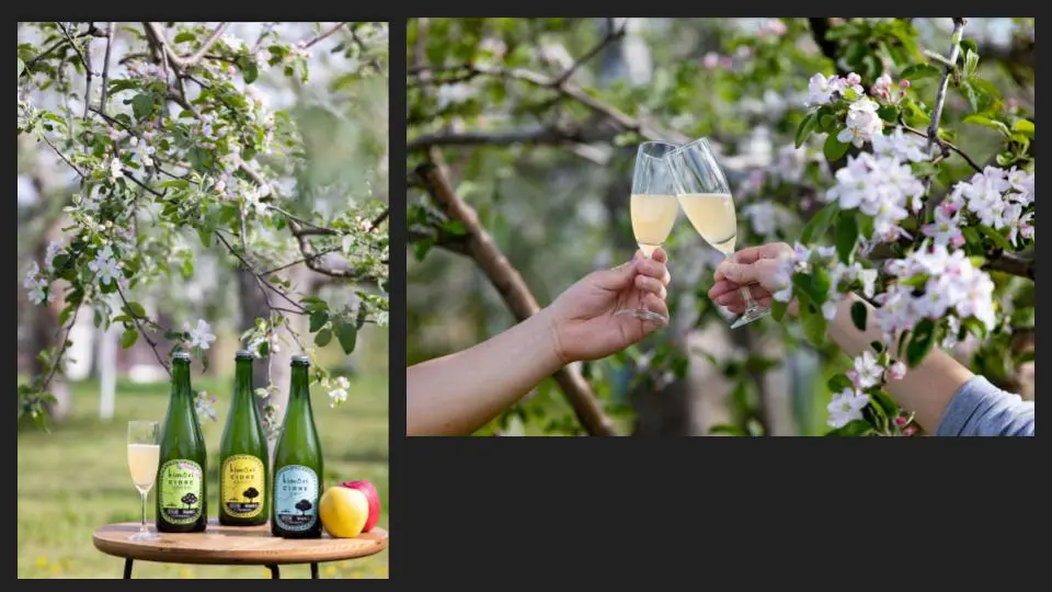 A collage of the famous Cider from Aomori Prefecture placed, and poured in two glasses in hand - Tokyo Portrait Photographer