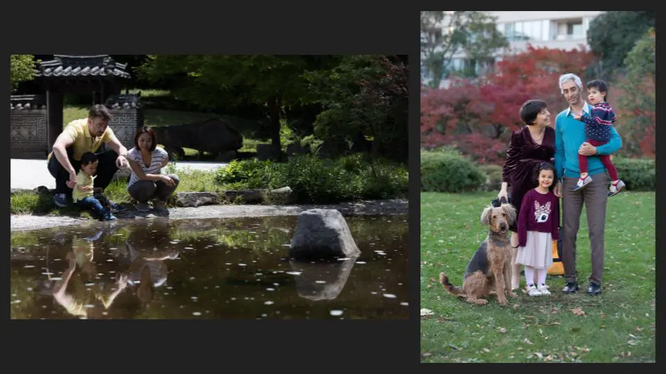 A collage of two, a family at a pond, & another family in a park with their pet - family photography, lifestyle photography