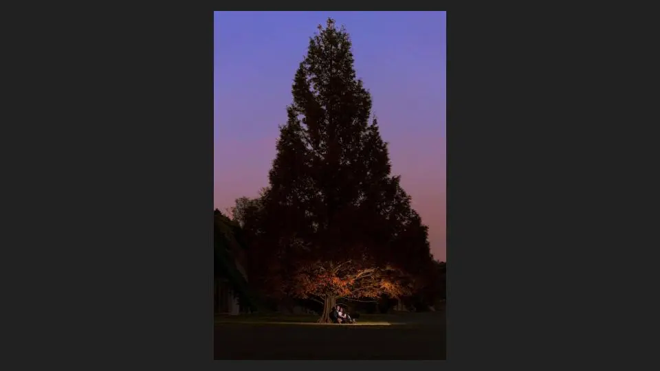 Family Photographer Couples Photography