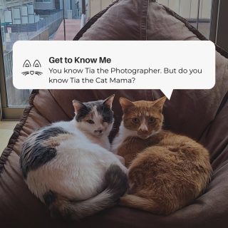 I usually share photography here, but today I wanted to share my fur babies. If you’ve looked at my bio, you’ll know I’m a foodie, an adventurer, a cat mama, and a proud wifey.When I’m not in the studio or traveling, I’m at home with my family. My husband Robert and our three cats keep things lively. We watch comedy shows, cook comfort food, and enjoy being home together.Just a small glimpse into life outside the work.#photography #art #aestheticphotography #photographer #portaitoftheday