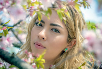A Sakura Breeze